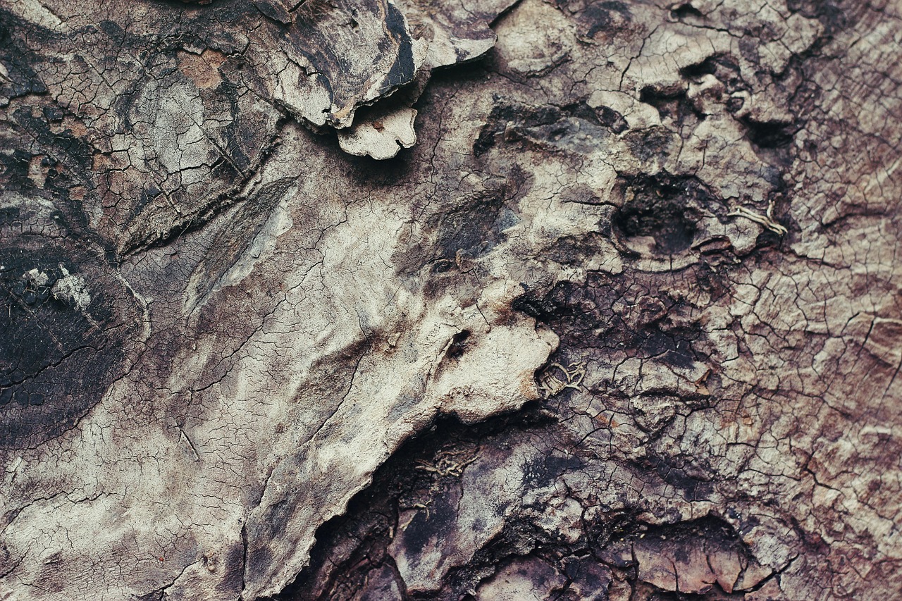 entdecken sie unsere hochwertigen materialien, die für langlebigkeit und exzellenz sorgen. perfekt für alle ihre projekte – von der konstruktion bis zur gestaltung.