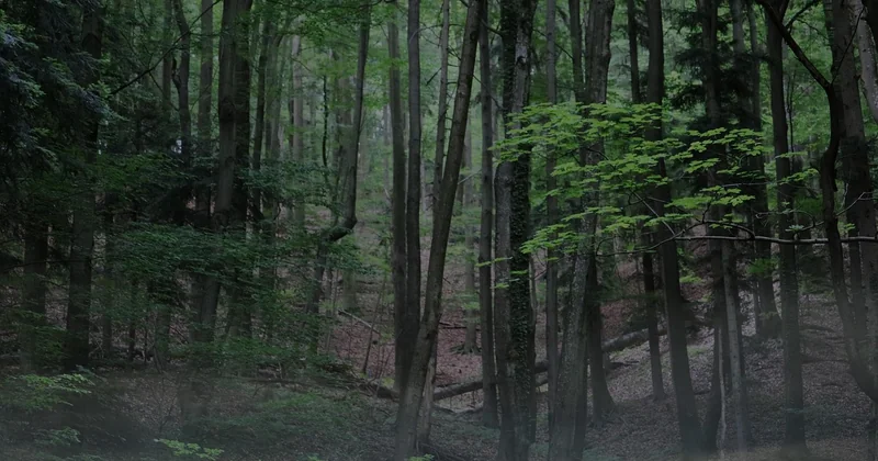 Conjuring 4: Wie es sich in die Chronologie einfügt
